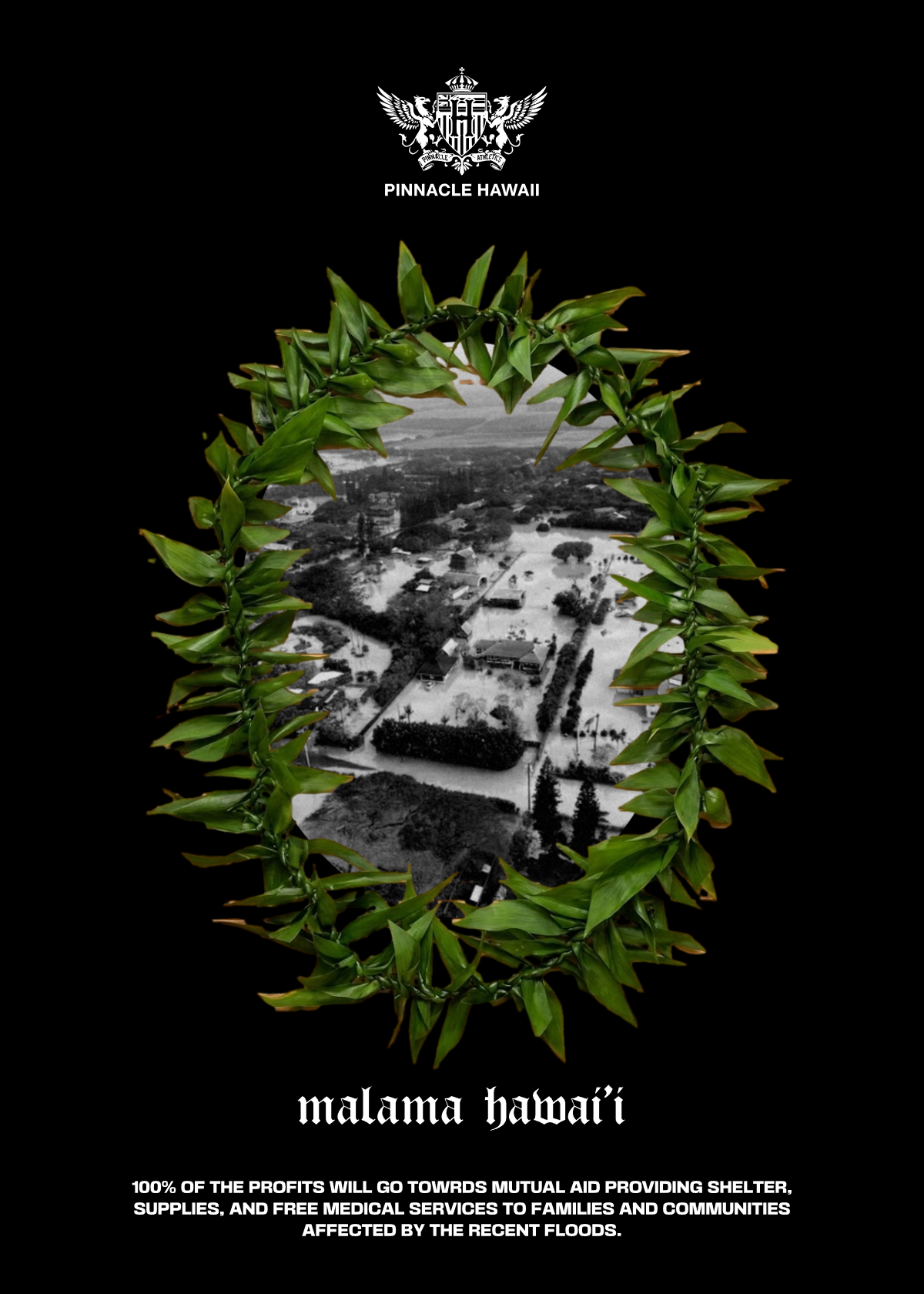 "Malama Hawaii" Premium Tee (Black)